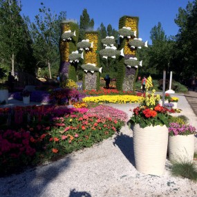 静水繁花----北京植物园国外新优品种展示