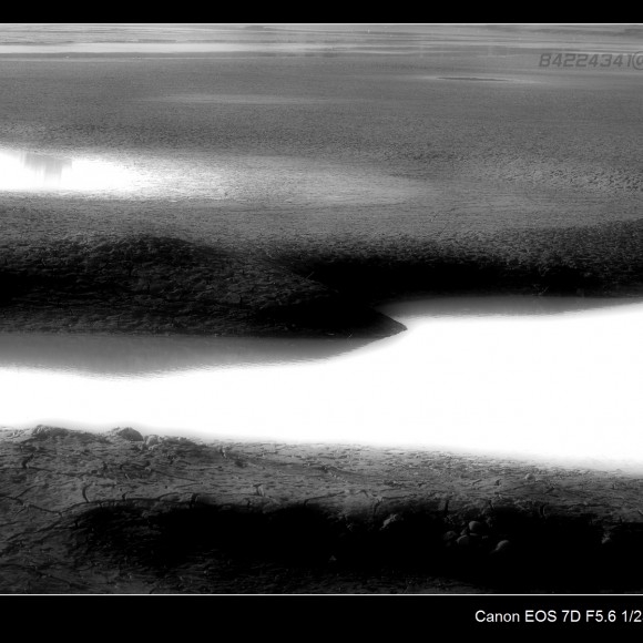 浐灞风光（2010.12）