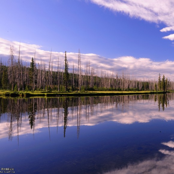 美国行摄之黄石国家公园