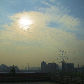 随拍朝阳，新人报道作品