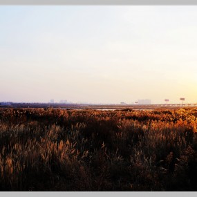 渭河金滩夕阳光影照