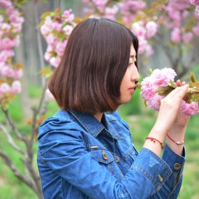 春色西苑（六）