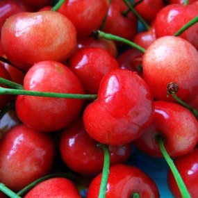 那年,水果季节到来时的早餐