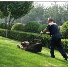 城市美容师--辛勤的劳动者