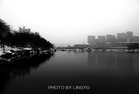 初雪2014
