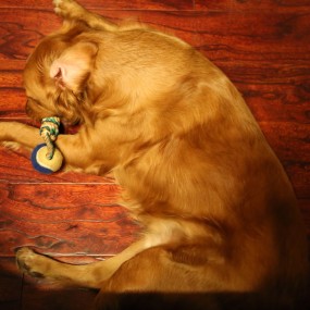 新手，老麻豆，刚买了个6D，还不会用