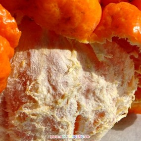 只为镜头而拍的图片