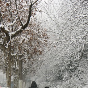 风雪归途