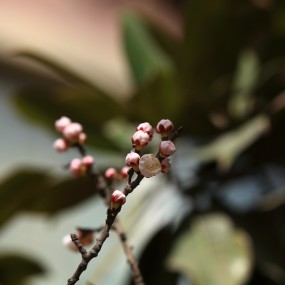 201303，满园春色