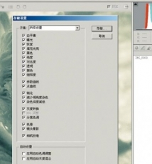 植物摄影师的视觉日志