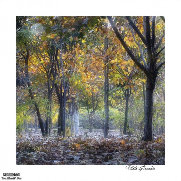 深秋风起　深秋水寒