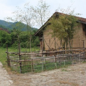 周至老县城随拍