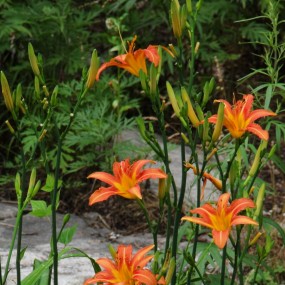 几张小作，请指正！