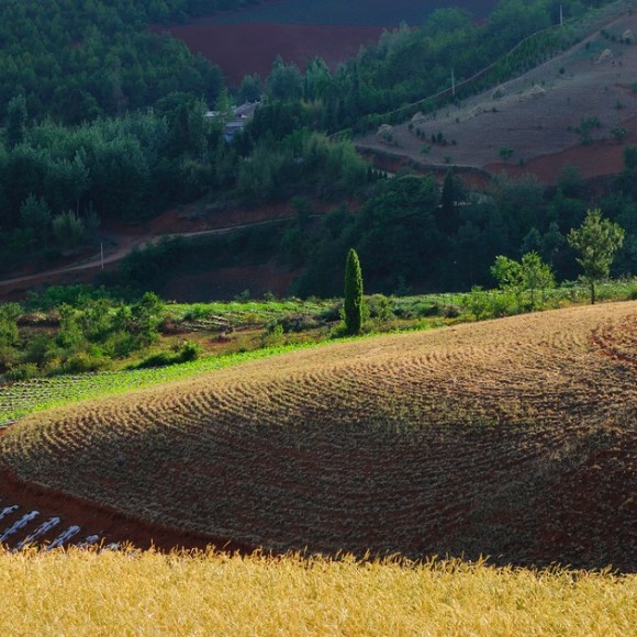 上帝遗失的调色板—红土地2p