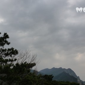 新手报到---2012江西庐山、婺源