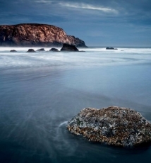 Sean Bagshaw 刻画硬肌理妩媚