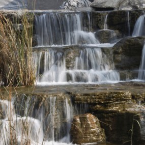 500D小套机随拍，请各位指教！