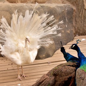 我的眼里只要你