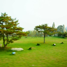 走马观花看新泰