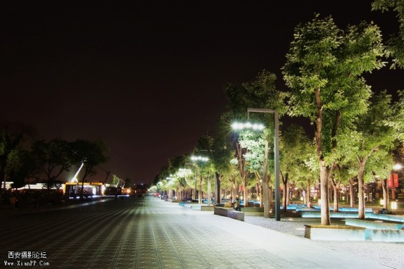 你为什么这么美！ — 夜拍大明宫遗址公园