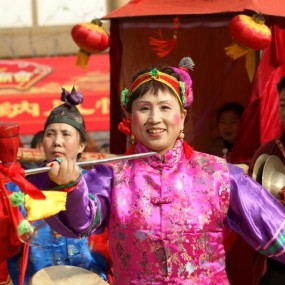 俊俏的媒婆子