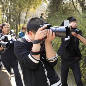 2012-3-25青龙寺外拍 [活动照片]