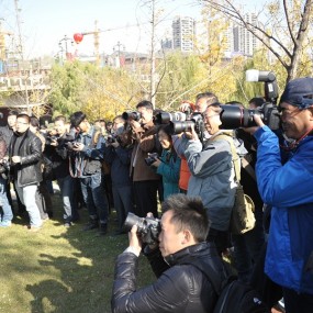 11.11活动记录1---集体