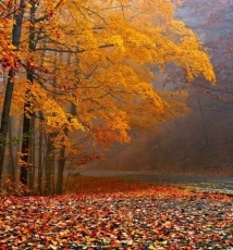 感知自然的质感