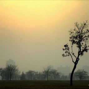 街头随笔，多指点