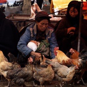 大凉山影像——集市上