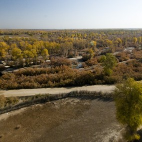 秋季，行摄在胡杨林中