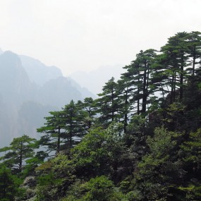 走马观花玩黄山