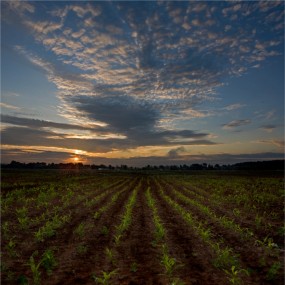 ВикторПерякин风景篇（一）