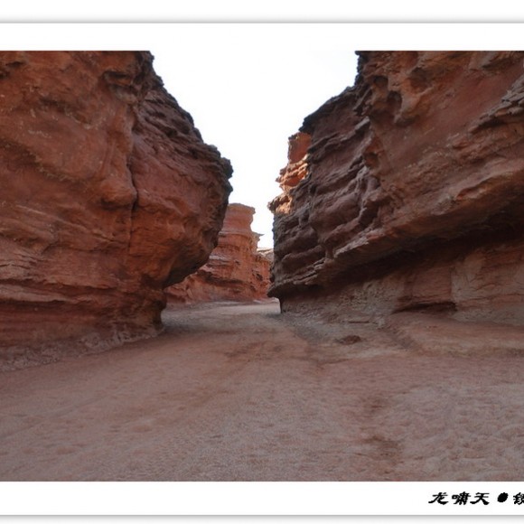 永远的额济纳···