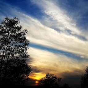 手机拍夕阳