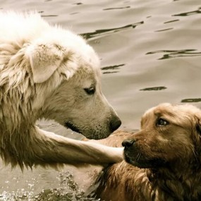 迄今为止最让人满意的照片