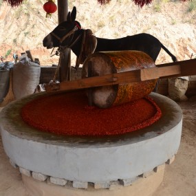 怀旧与重操旧业