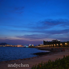 深圳湾，红树林