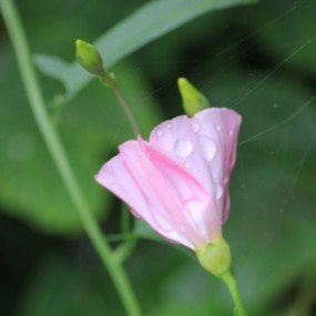 新手上路，试着先发一张