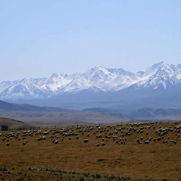 大美祁连（二）