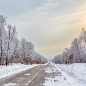 抚远的冬捕（组照）