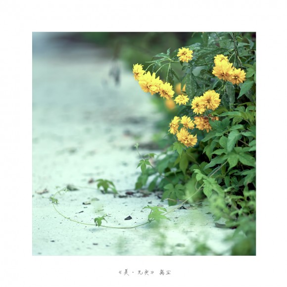 《美·无央》大秦岭 小情绪