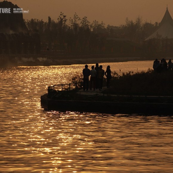 【金色夕阳下】