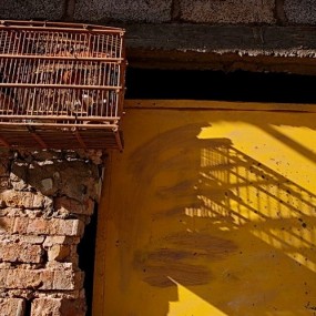 社会主义的古巴