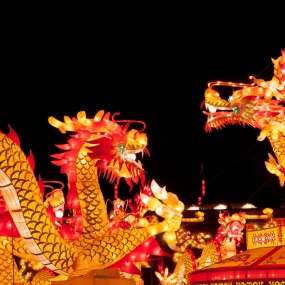 瓮城龙灯会