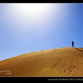 宁夏之旅风光系列 -- 大漠，用生命明志！