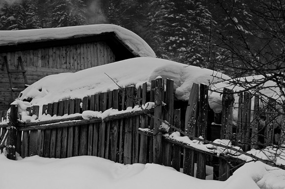 品味雪乡（一）