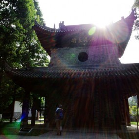 网友镜头下的关中八景---雁塔晨钟