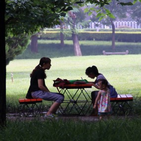 公园里的小学生