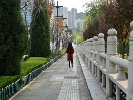 V眼看曲江之【曲江池】